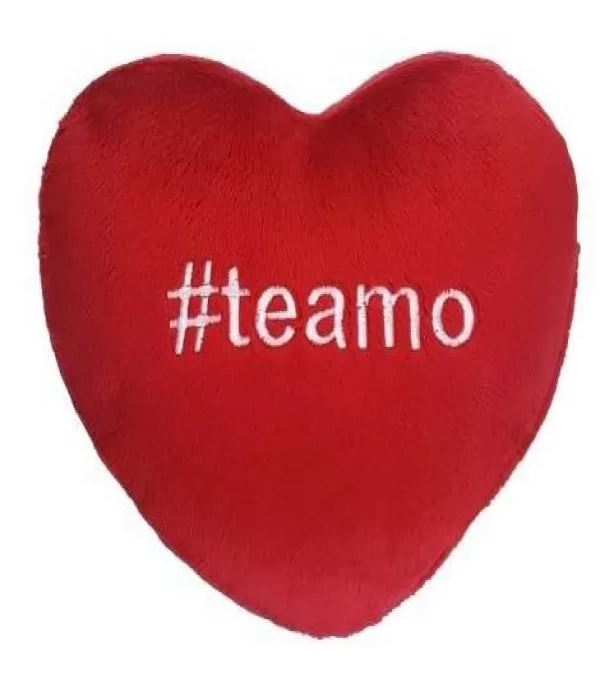 Almofada CoraÇÃo Meu Amor - Brumar