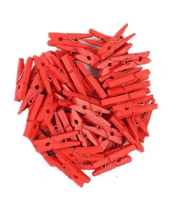 Mini Pregador De Madeira Cores Diversas - Interponte- Hd70320