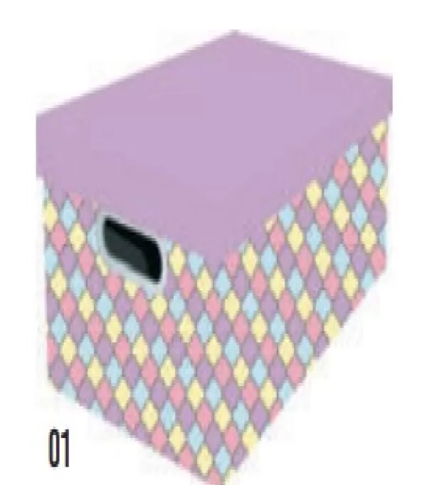 Caixa Organizadora Pq Lilas Color 3491