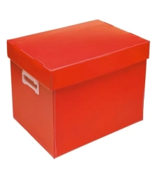 Imagem de capa de Caixa Organizadora Grande Novaonda Vermelho Fosco - Polibras - 022307