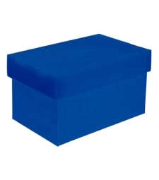 Imagem de capa de Caixa Organizadora Mini Novaonda Azul Fosco - Polibras - 021709