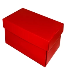 Imagem de capa de Caixa Organizadora Vermelha Fosca Pequena Novaonda - Polibras