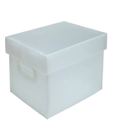 Imagem de capa de Caixa Organizadora Transparente Pequena Novaonda Cristal - Polibras - 022817