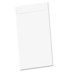 Imagem de capa de Envelope Saco Branco 176 X 250mm Caixa Com 250 Un - Foroni