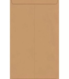 Imagem de capa de Envelope 260 X 360mm Kraft/natural Caixa Com 250 Un - Foroni
