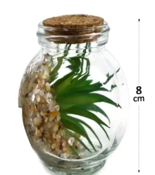 Imagem Vaso Com Planta Terrario - Interponte de Encopel