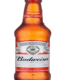 Imagem Cerveja Budweiser 24 X 330ml Long Neck de Estrela Atacado