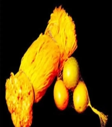 Imagem de capa de Rede Plastica P/frutas 1000 Unid.