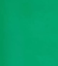 Plavifast Colorido - 1mx50m Verde Bandeira