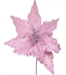 Imagem de capa de Flor - Poinsetia Rosa Ref: 1022571