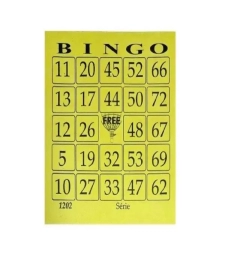 Cartela De Bingo Com 100 Folhas Colorido - Denigraf